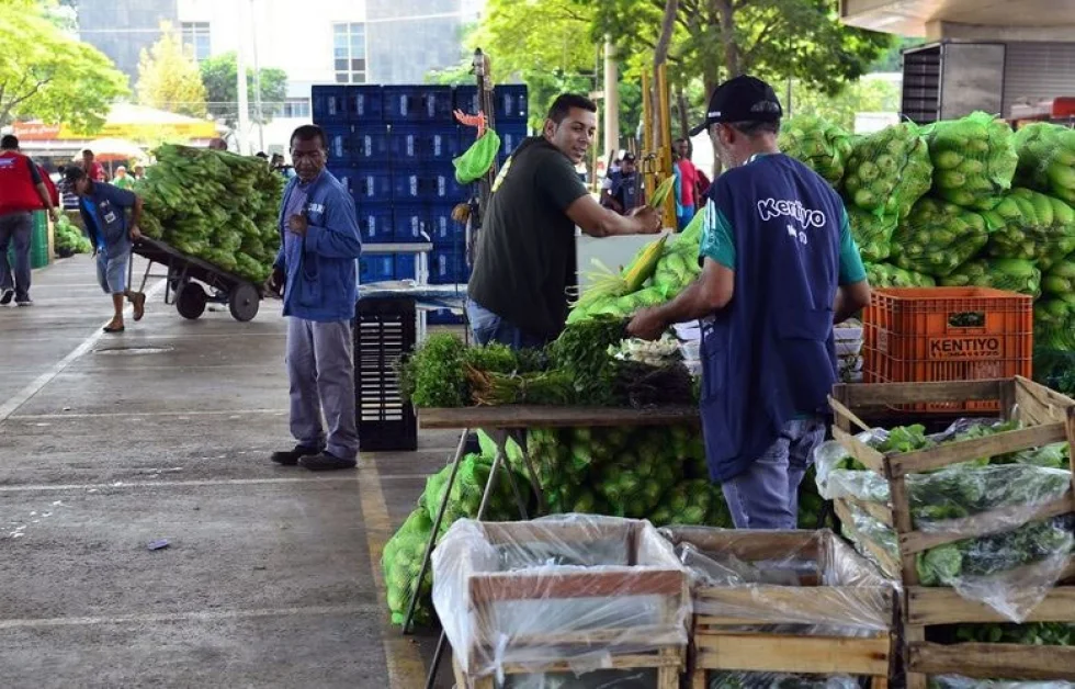 Conab adota medidas para evitar propagação da covid-19 e garantir abastecimento de hortifrutis