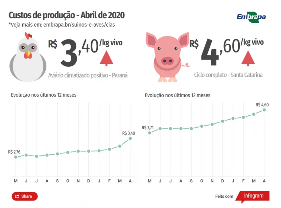 Custos de produção de frangos de corte e de suínos disparam em abril