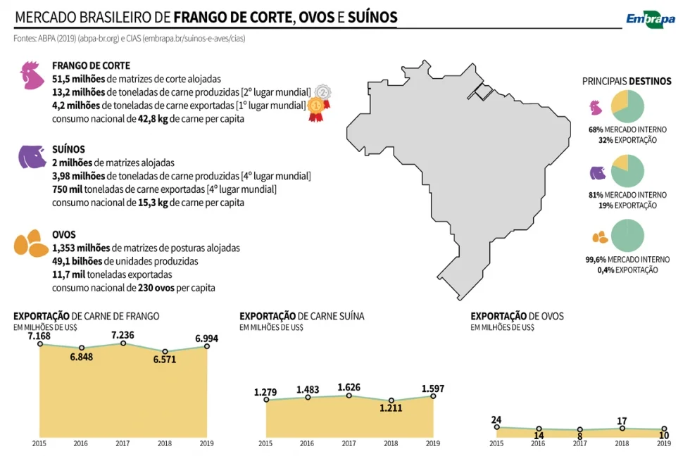 Pesquisa mostra como as indústrias de ovos, frangos e suínos sofrem os efeitos da pandemia