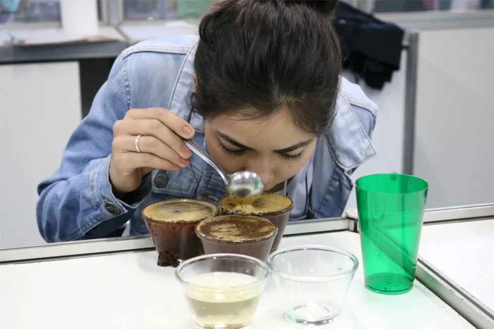 De forma virtual, concurso vai premiar os melhores cafés do Paraná