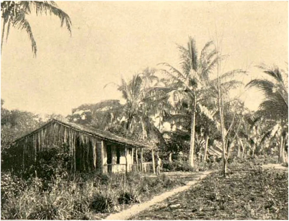 Há 170 anos, Lei de Terras oficializou opção do Brasil pelos latifúndios