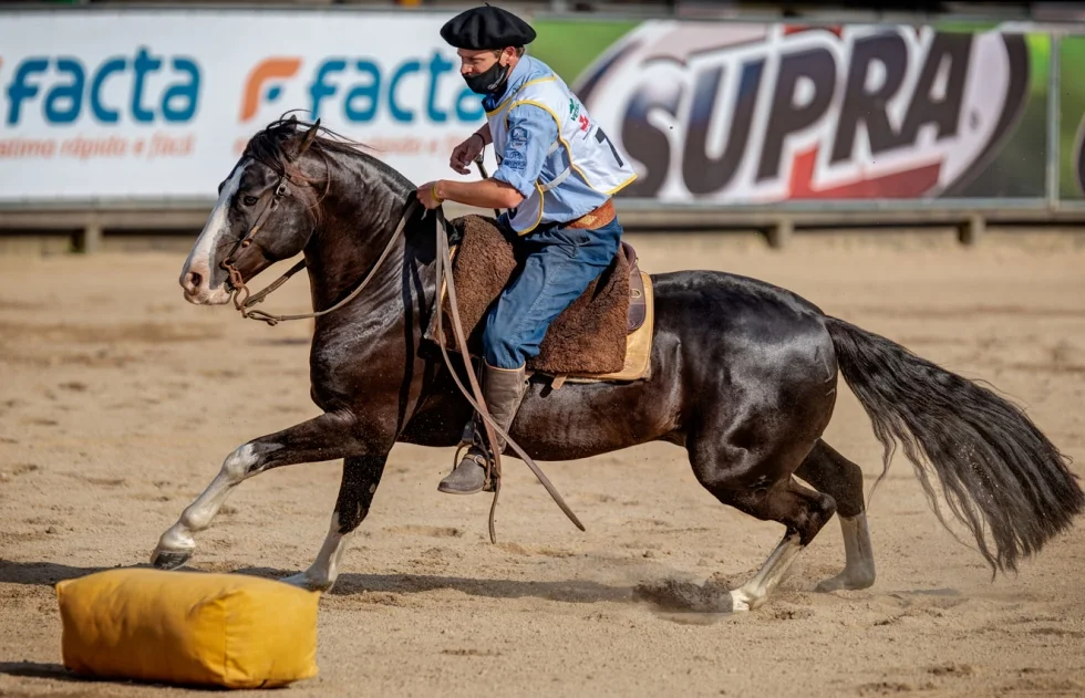 Brasil, Uruguai e Argentina sobem ao pódio na final do Freio de Ouro