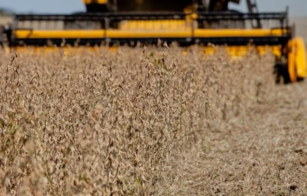 Derrubada do veto à prorrogação da folha de pagamento deve ter impacto positivo na agroindústria do Paraná
