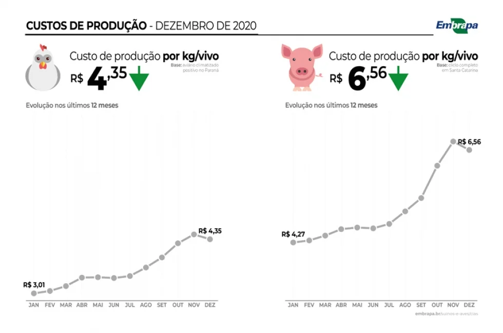 Custos de produção de suínos e de frangos de corte têm alta recorde em 2020