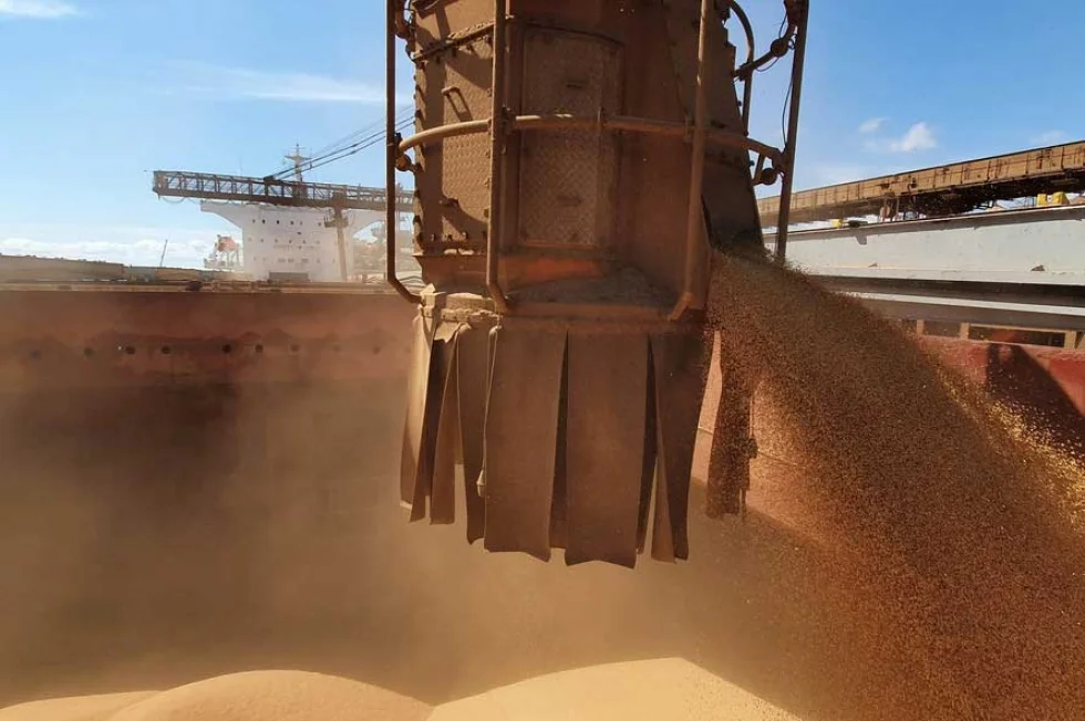 Nova safra de soja começa a ser exportada por Paranaguá