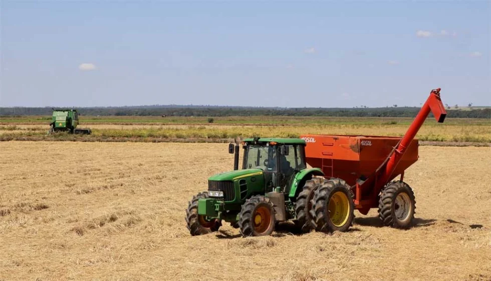 Com técnicas de gerações, Santa Isabel do Ivaí lidera produtividade do arroz irrigado no Paraná