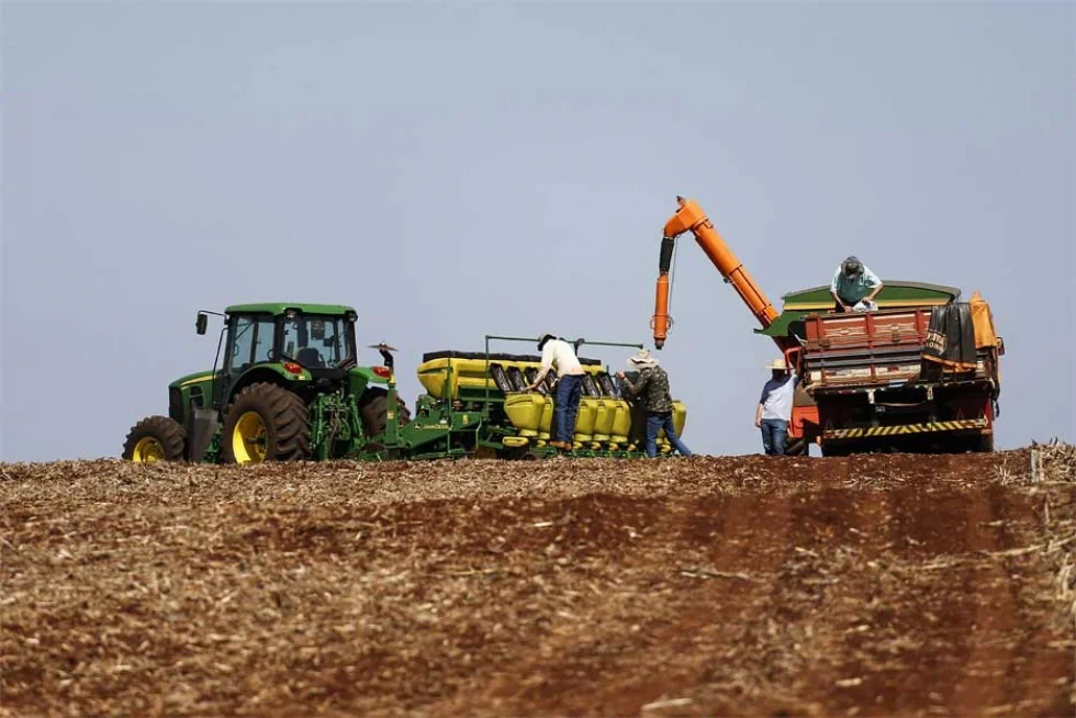 Safra de grãos será de 34,4 milhões de toneladas, aponta boletim da Agricultura