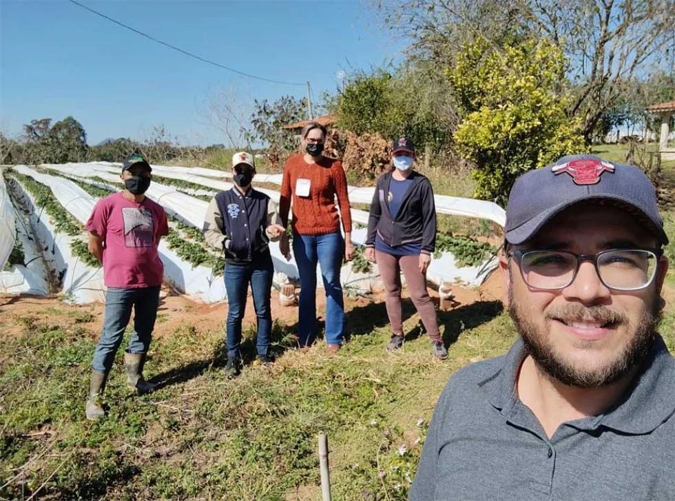 Produtores de morango do norte pioneiro são capacitados com foco na busca da Indicação Geográfica
