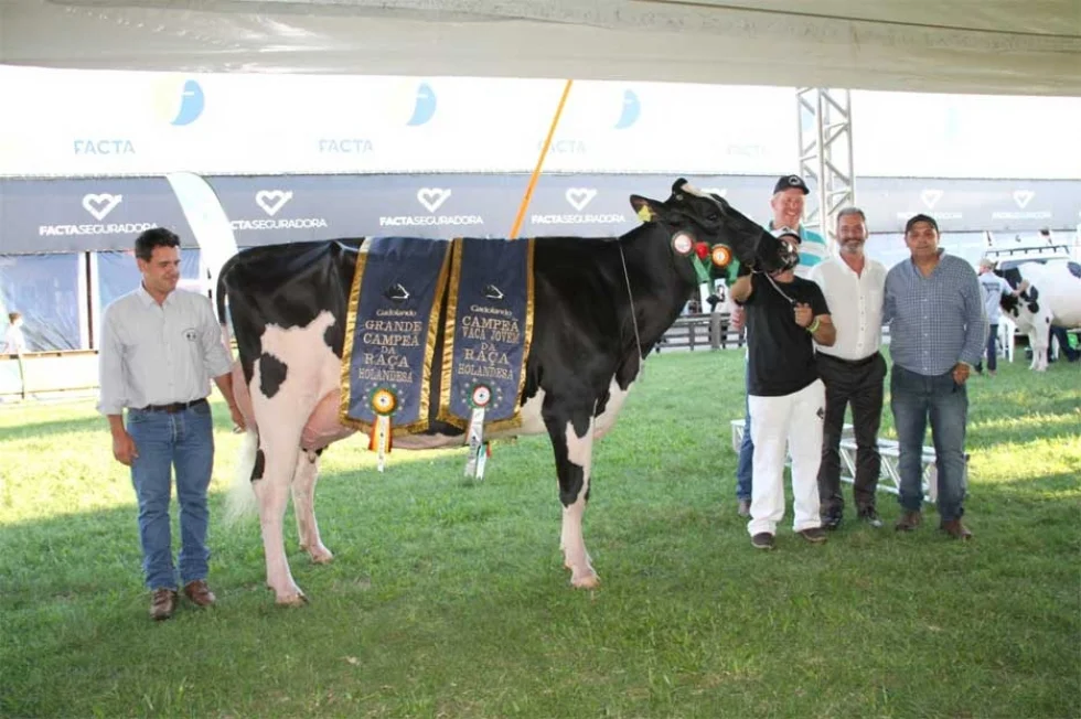 Grande campeã da raça Holandesa na Expointer é do Alegrete