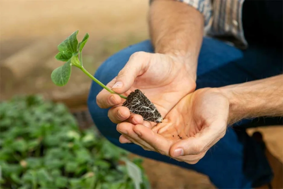 Campo Fácil valoriza esforços do pequeno produtor rural