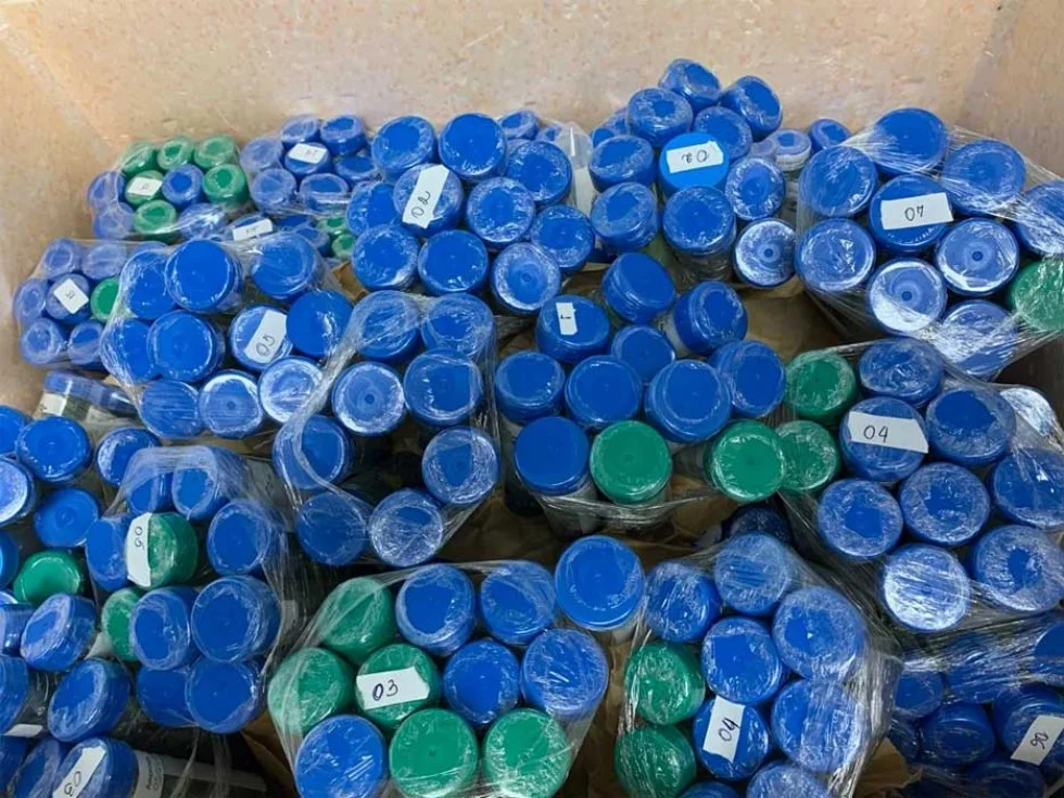 Variedades de banana enviadas pela Embrapa chegam à Costa Rica