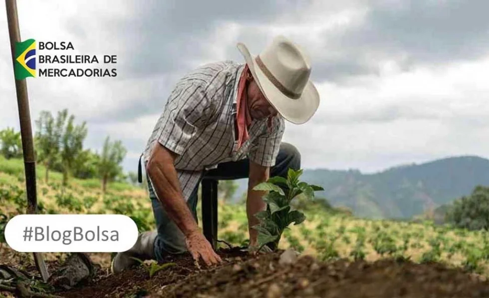 CPRs acima de R$ 250 mil deverão ser registradas a partir de janeiro