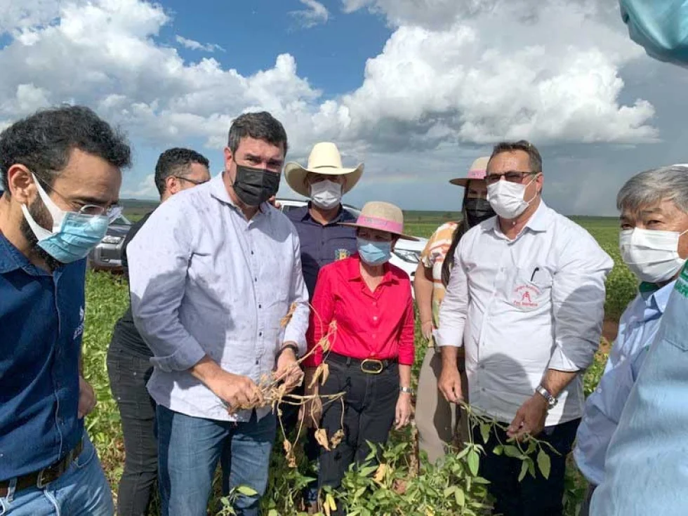 ​​​​​​​Após visitar lavouras afetadas pela seca no PR e MS, ministra diz que ação imediata é garantir plantio da safrinha
