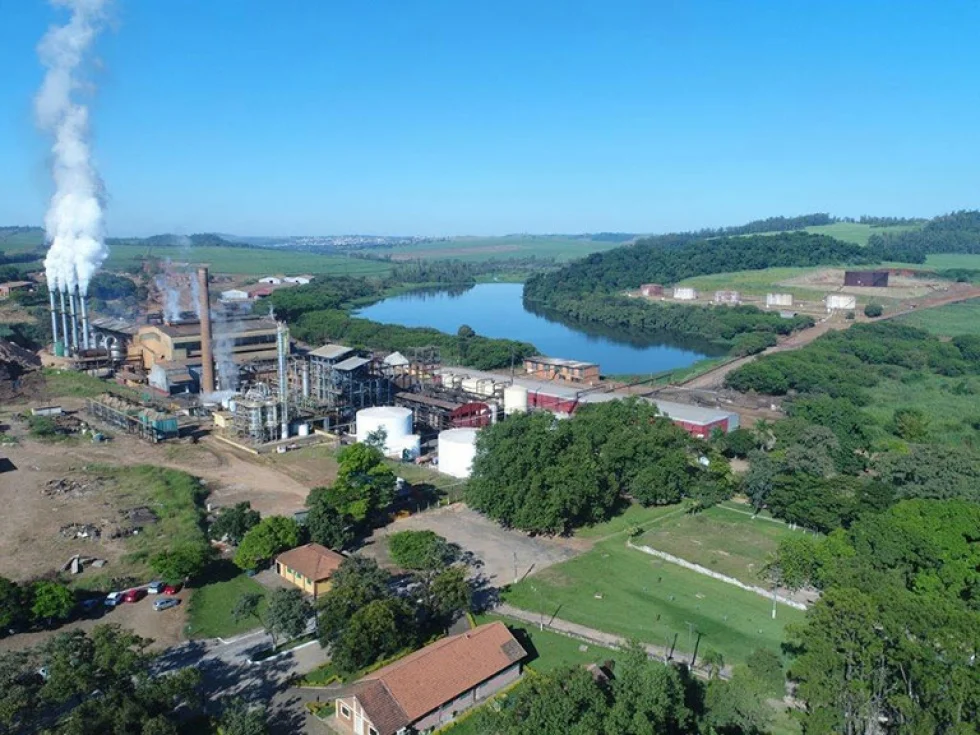 Usina Jacarezinho prevê safra positiva, com moagem de cana em torno de 2,5 milhões de toneladas