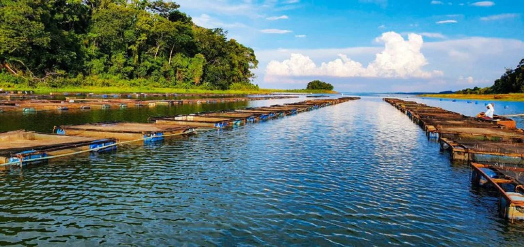 AgroResidência abre primeiro edital para seleção de projetos da aquicultura