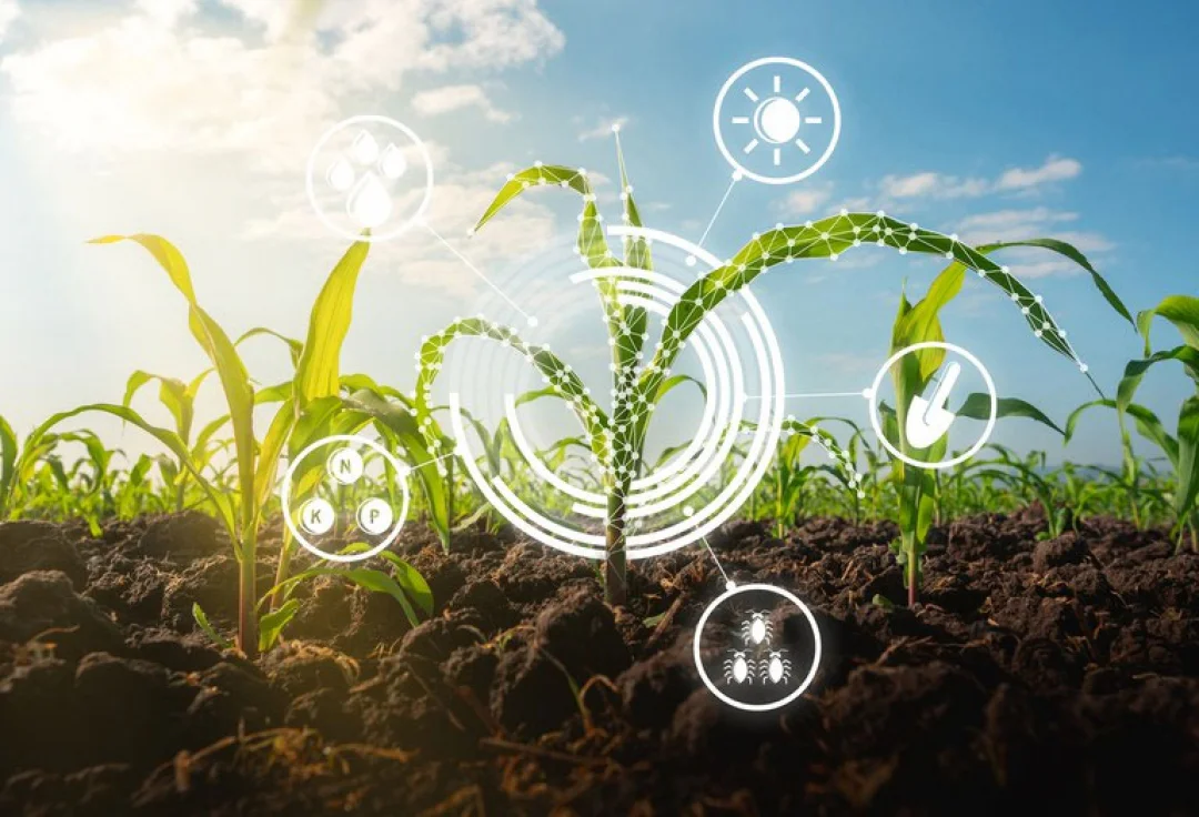 Portaria institui Programa AgroHub Brasil