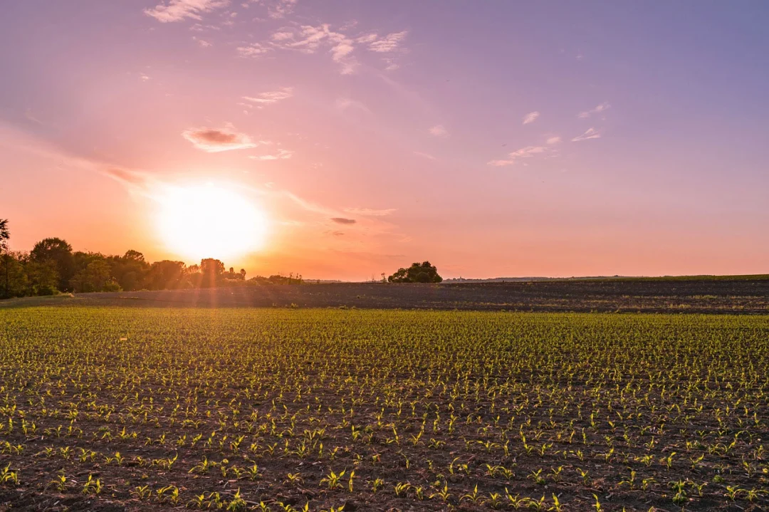 XXI CBSementes traz professor premiado pela Crop Science Society of America para ministrar palestras