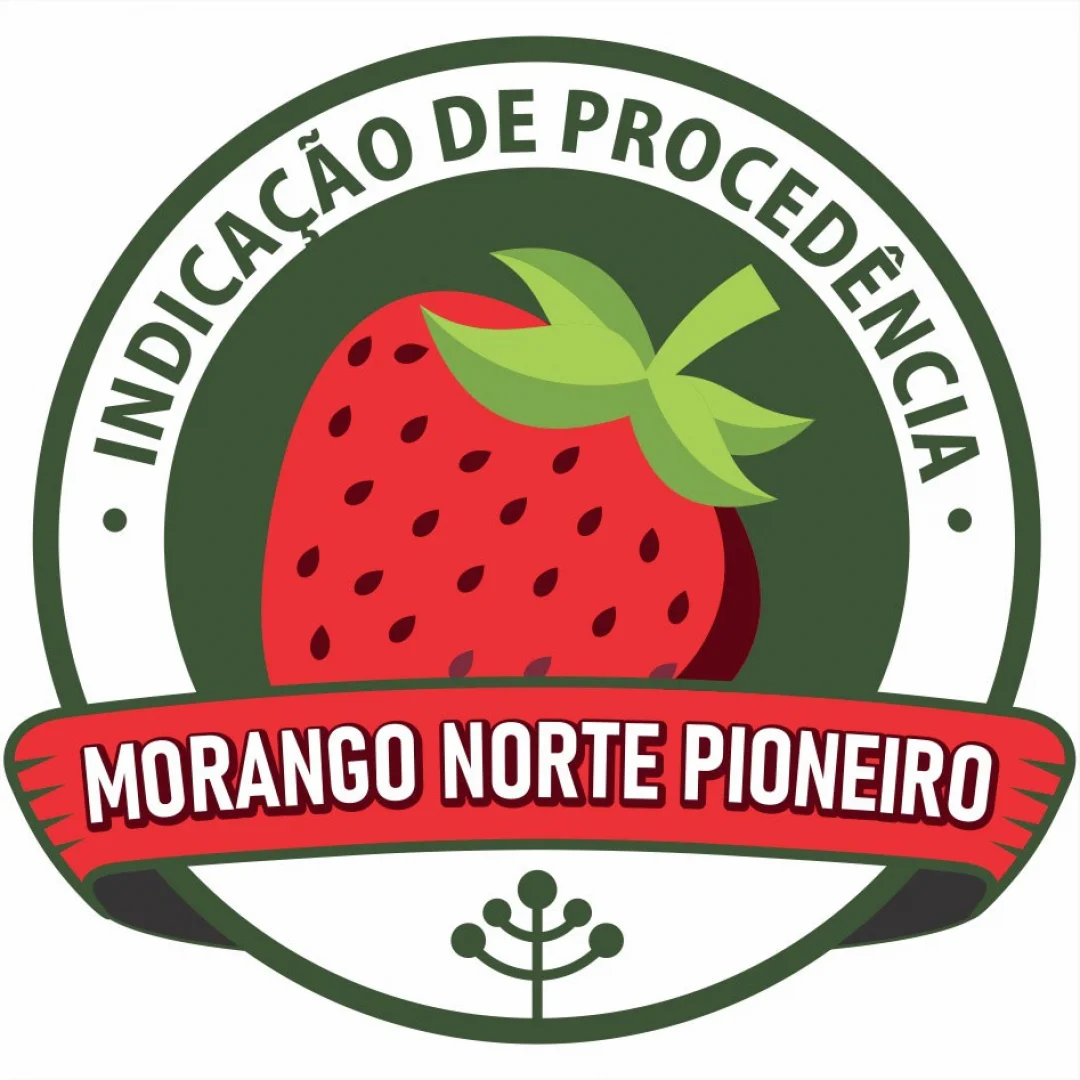 Produtores de morango do norte pioneiro do Paraná conquistam Indicação Geográfica
