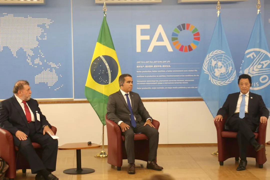 Brasil renova parceria com a Organização das Nações Unidas para Agricultura e Alimentação (FAO)