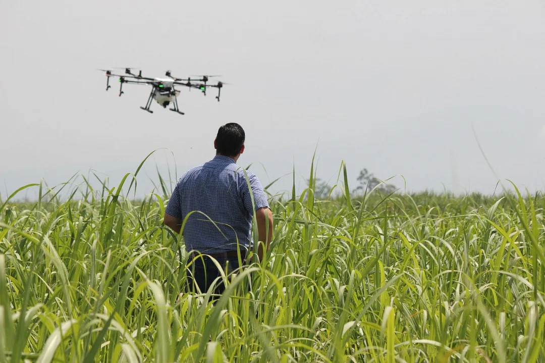 Aberta a votação para o 2º Prêmio Produtor Rural 4.0; conheça os finalistas