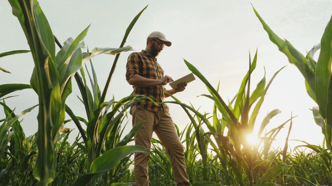 Expansão do agronegócio exige novas qualificações para homens e mulheres do campo