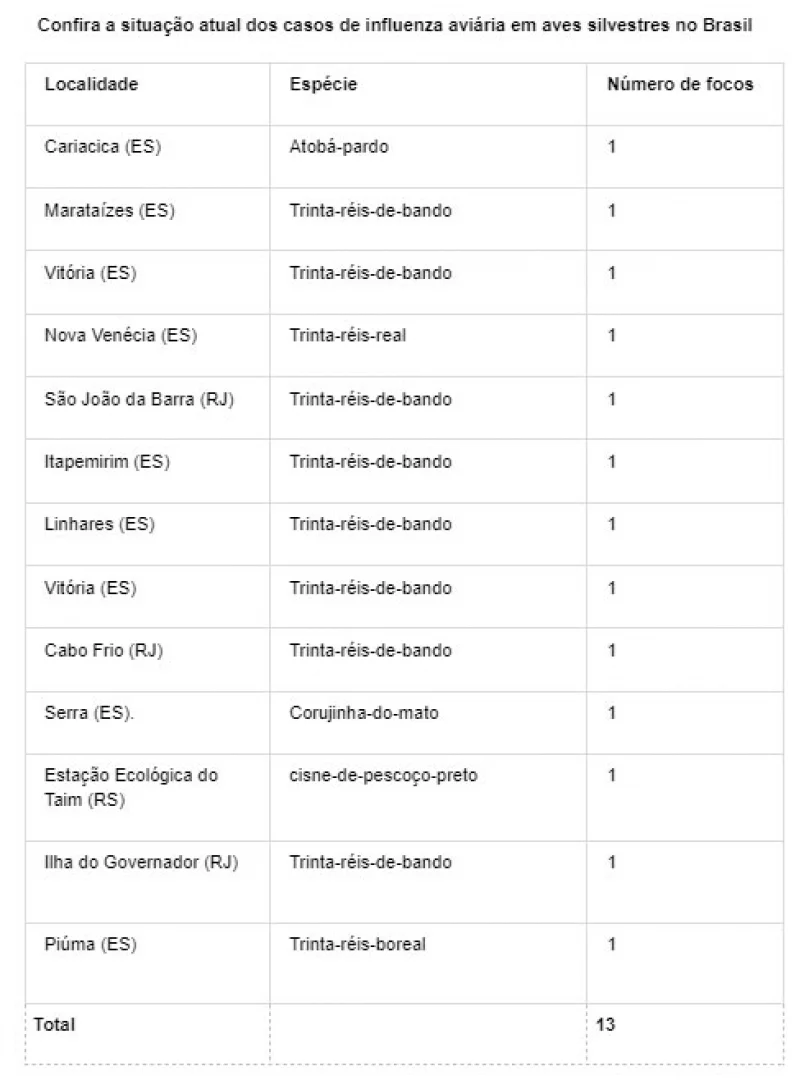 Rio Grande do Sul registra primeiro foco de influenza aviária em aves silvestres