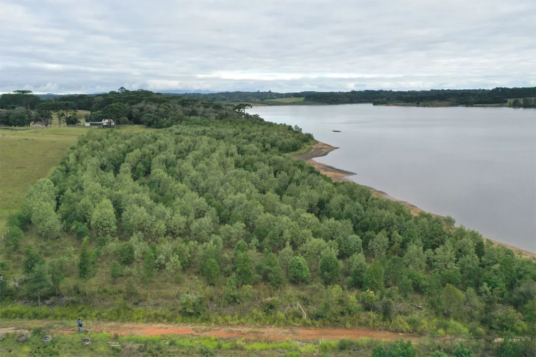 Patrimônio natural: Paraná tem 26,2 mil km² de Unidades de Conservação