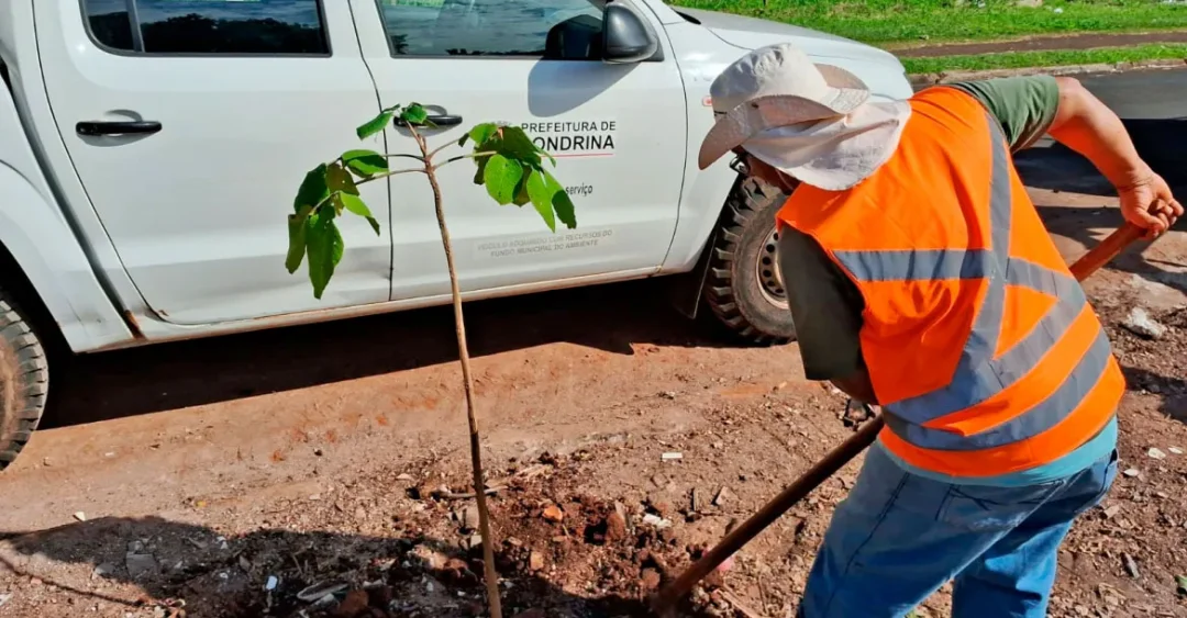 Prefeitura realiza plantio de quase 200 mudas de ipês nas regiões norte e leste