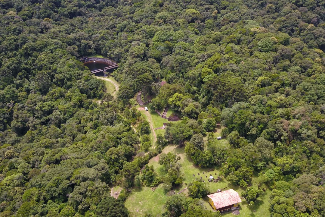 Desmatamento ilegal da Mata Atlântica reduz 64% no Paraná em 2023