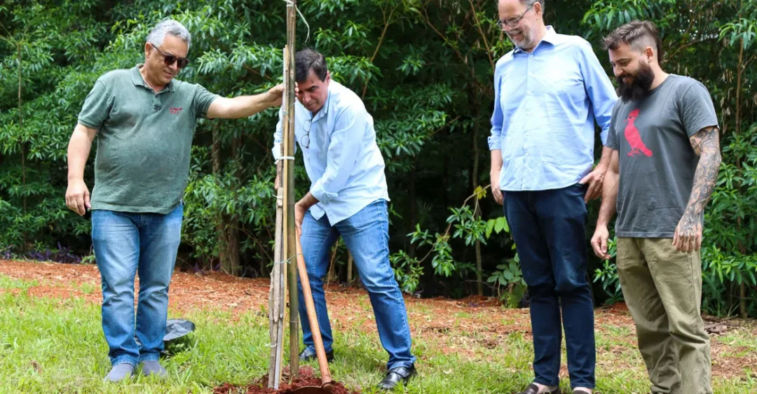 Prefeito Marcelo Belinati realiza plantio da árvore 100 mil de sua gestão