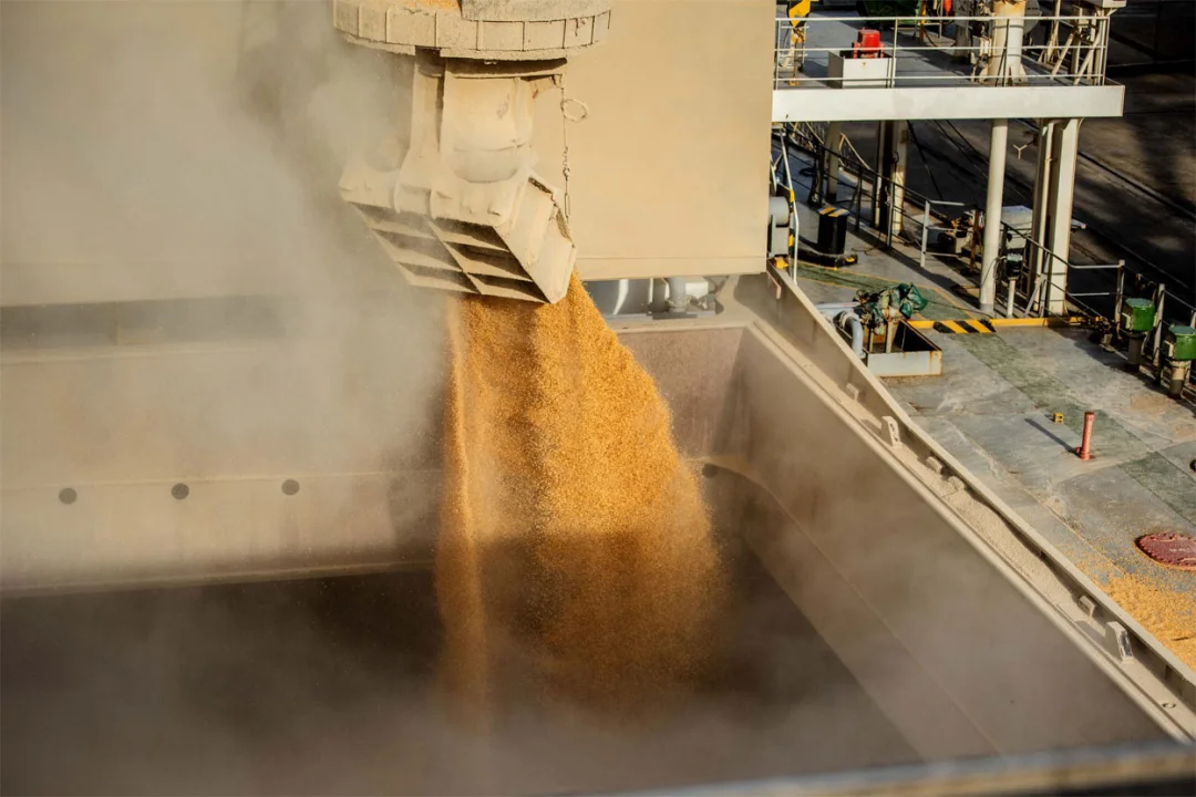 Exportações do agronegócio paranaense cresceram 40,8% em volume em 2023