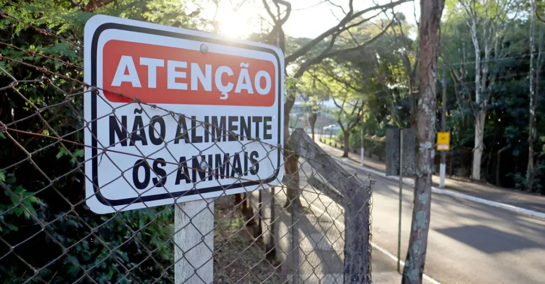 Secretaria do Ambiente orienta público a não alimentar animais silvestres