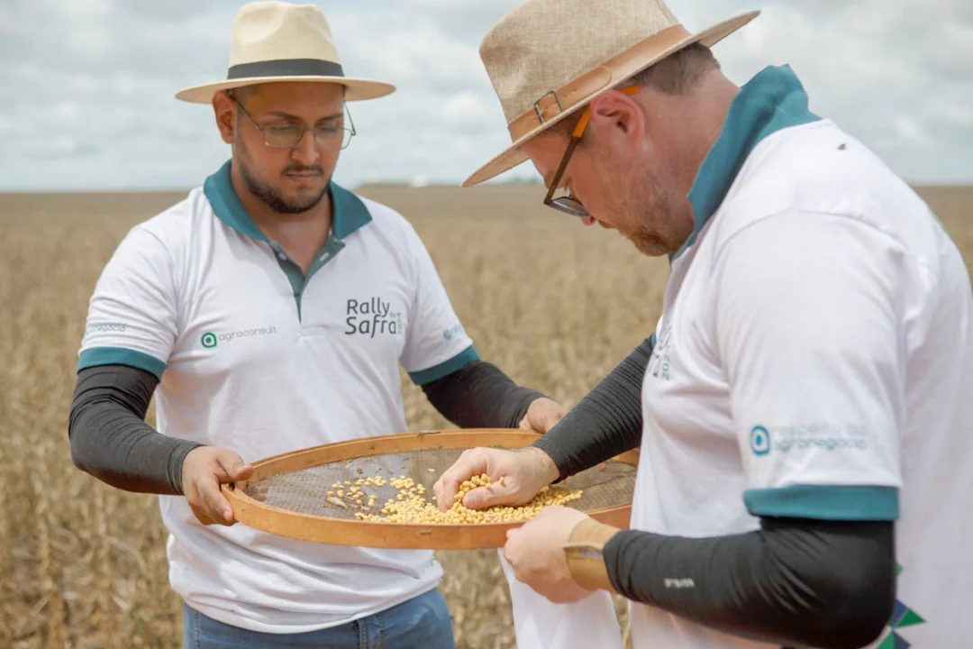 Sob impacto do clima seco, Paraná recebe Rally da Safra com produtividade da soja em queda