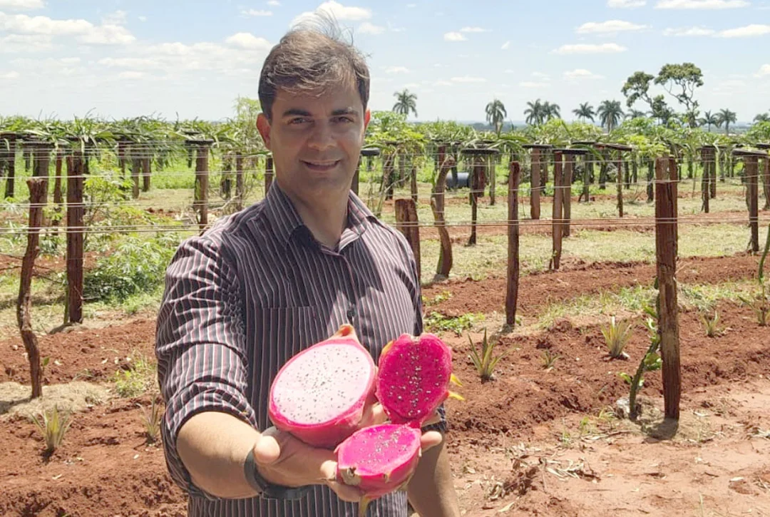 Com apoio da Embrapii e Sebrae, produtor rural cria geleia de pitaya para aumentar faturamento do negócio