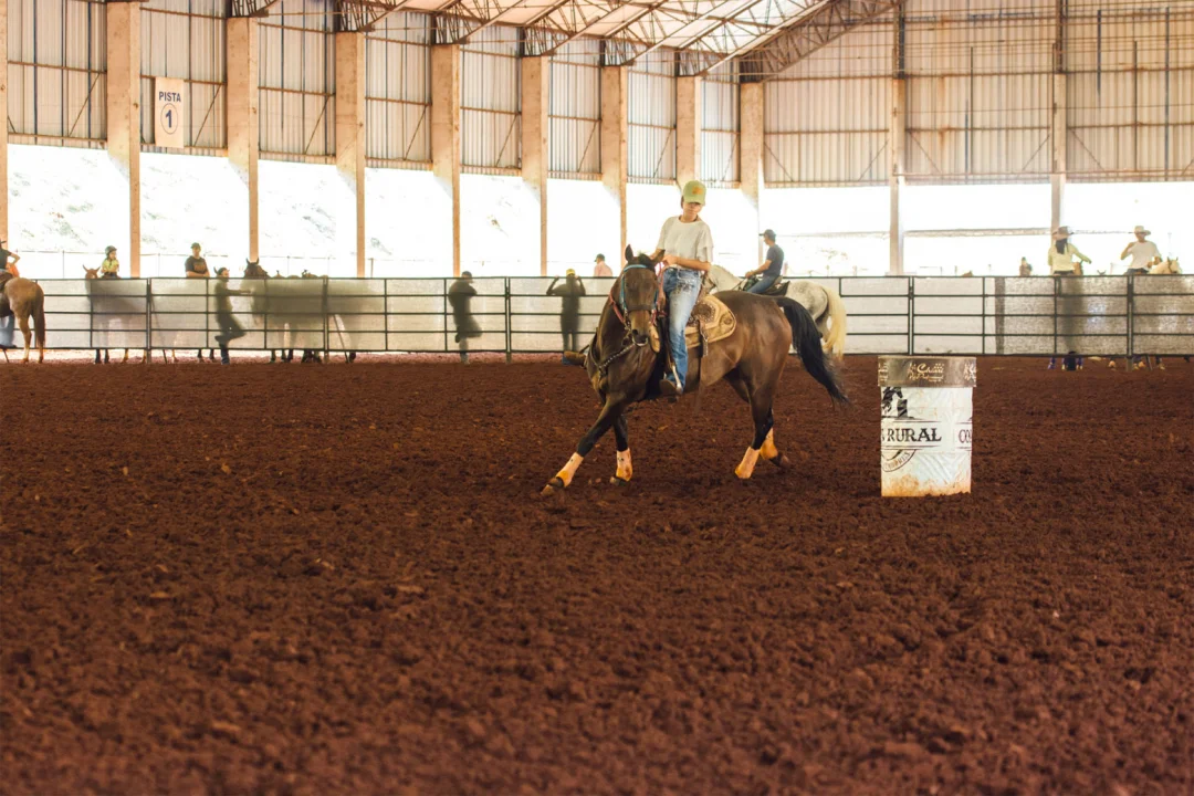 Provas equestres terão cerca de mil cavalos na ExpoLondrina 2024