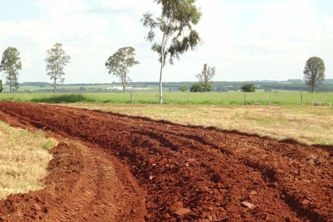 IDR-PR leva para ExpoLondrina discussão sobre mudanças climáticas e manejo do solo