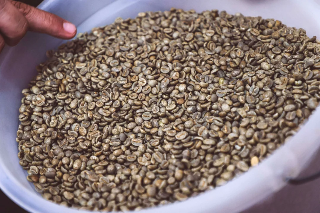 ExpoLondrina sediará 30º Encontro Estadual de Cafeicultores na próxima quarta