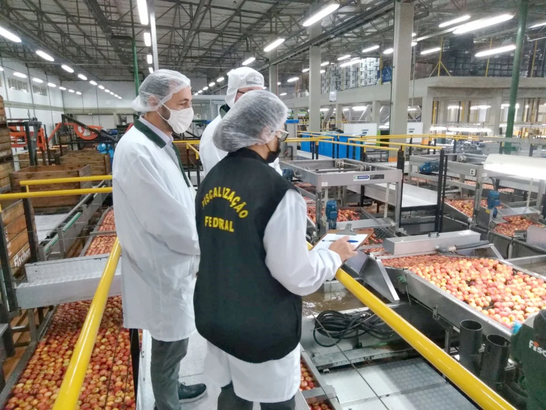 Impasse entre GF e auditores fiscais agropecuários segue sem solução