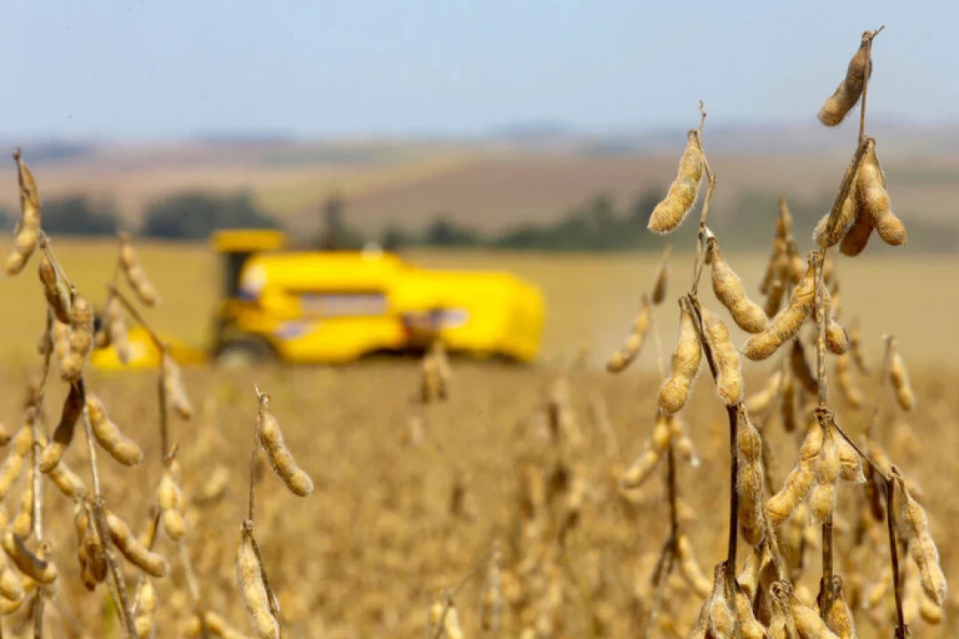 Comissão de Agricultura discute a Moratória da Soja