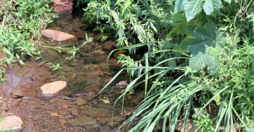 Parques de Londrina garantem benefícios do ICMS Ecológico ao Município