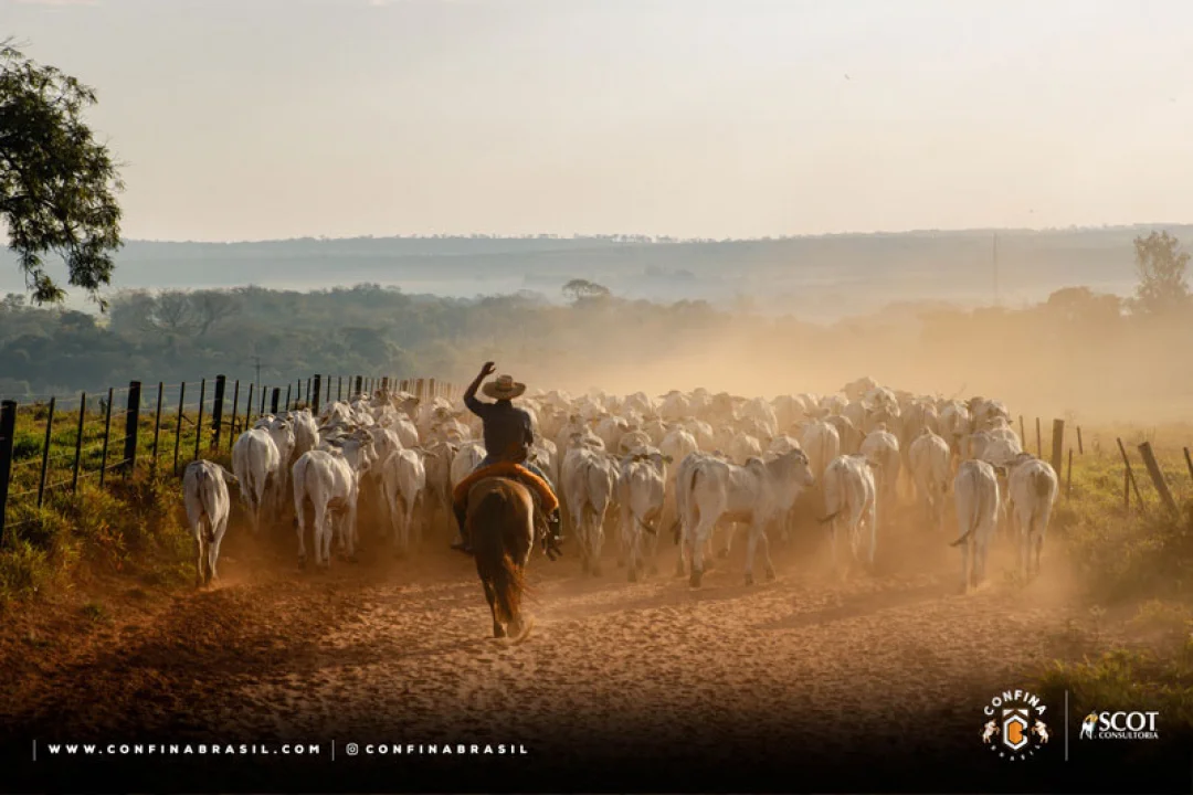 Expedição Confina Brasil visitará fazendas do Paraná na próxima semana