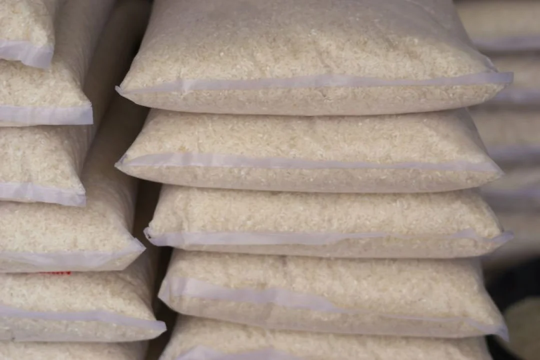 Comissão debate impactos da importação de arroz