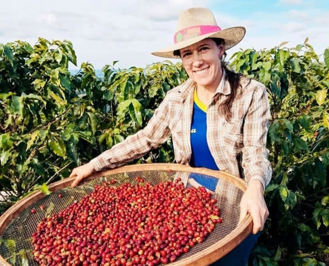 Café especial produzido por mulheres do norte pioneiro do Paraná será exposto no Chile