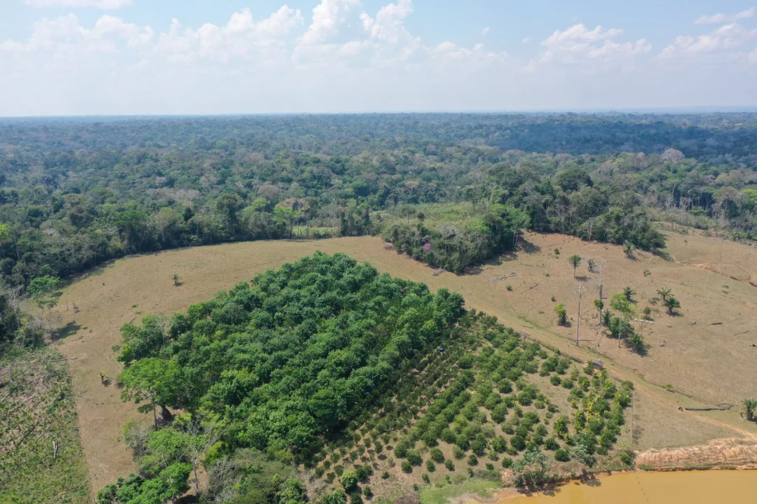 Embrapa cria Rede de Restauração de Ecossistemas