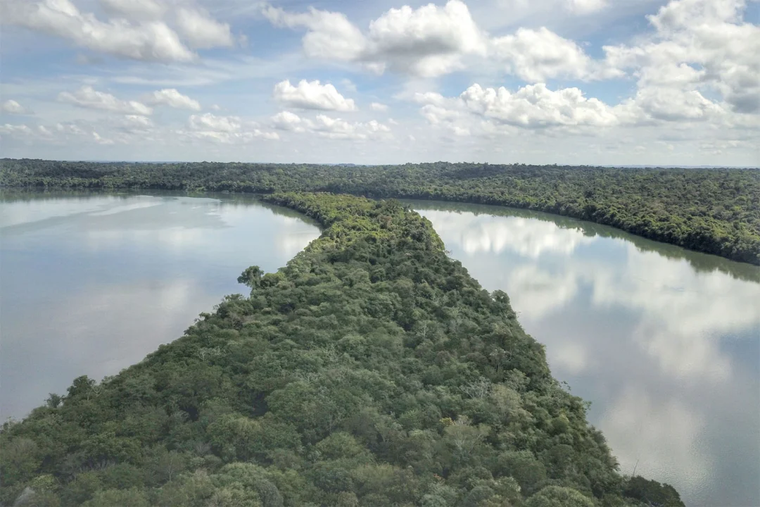 Paraná é o estado mais sustentável do Brasil, aponta Ranking de Competitividade