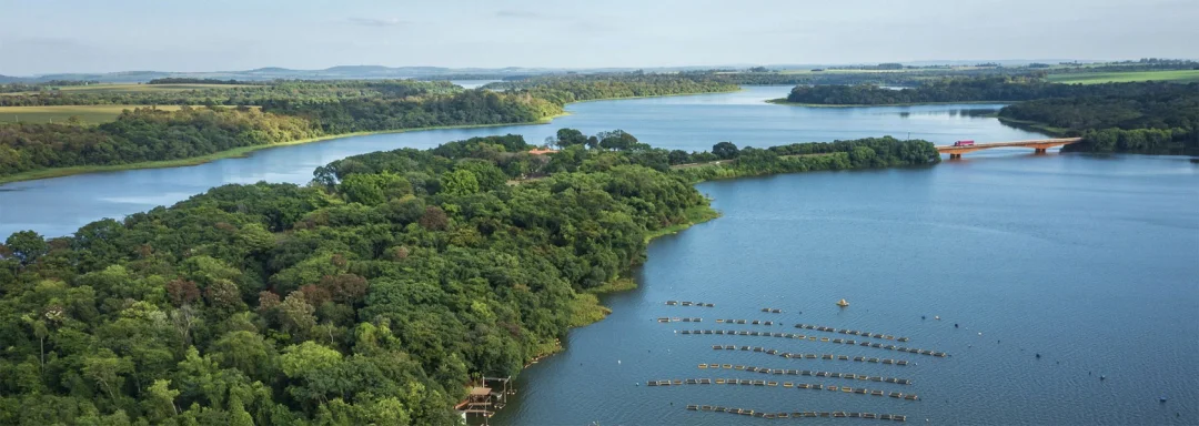Restauração florestal de Itaipu é reconhecida em premiação nacional