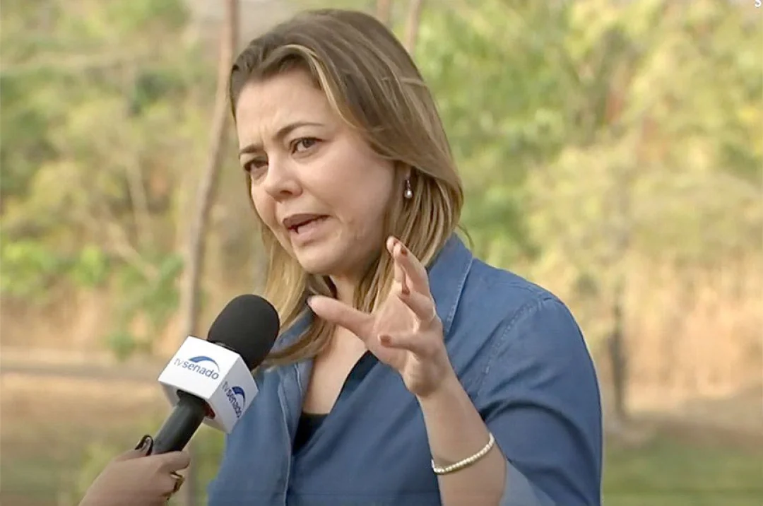 Incêndios florestais: presidente da CMA propõe endurecimento de penas
