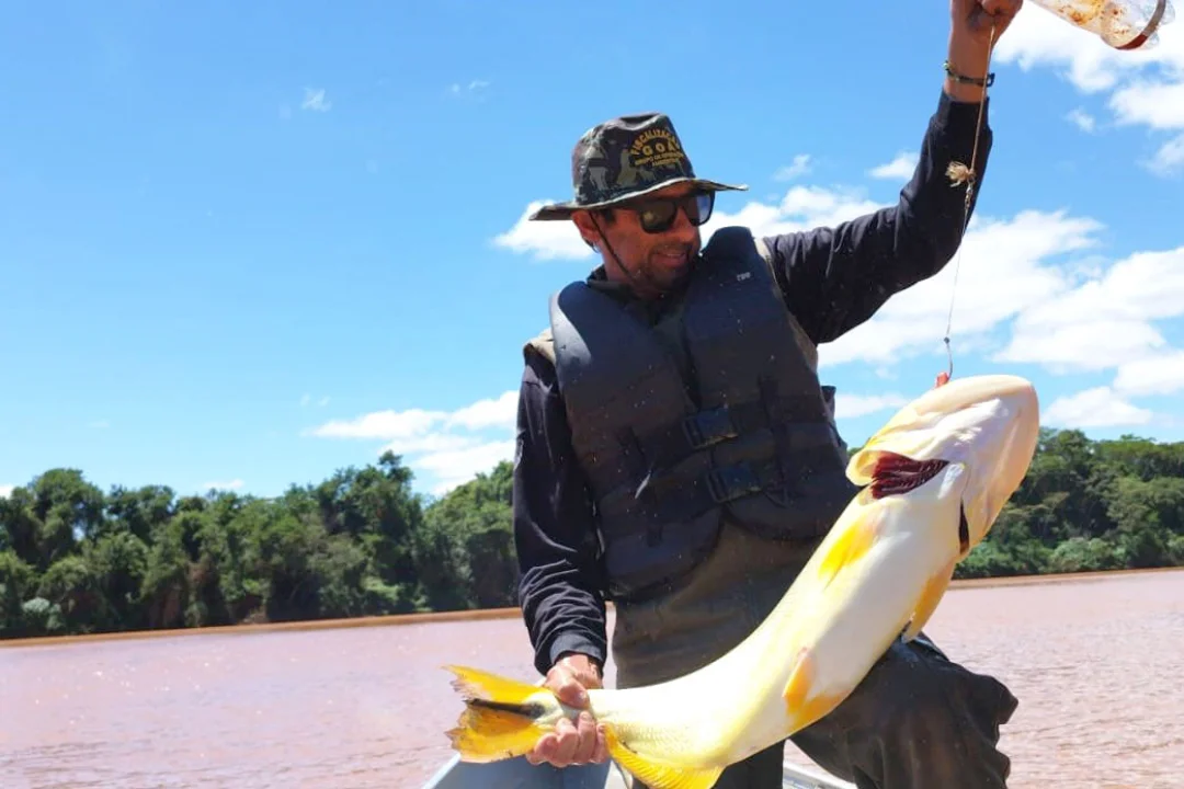 Piracema: proibição de pesca predatória na Bacia do Rio Paraná começa na sexta-feira
