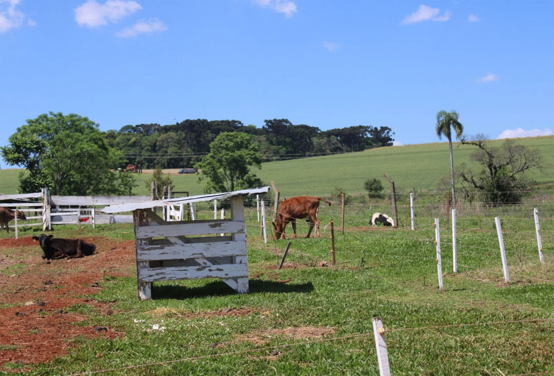 STJ define novas regras para proteger a pequena propriedade rural