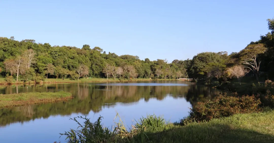 2ª Conferência do Meio Ambiente de Londrina acontece neste sábado (30)